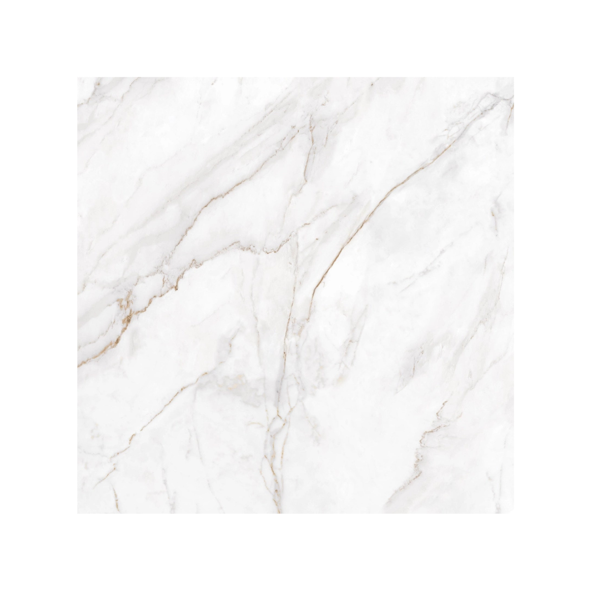 PORCELANATO CASTEL DE TASSO CASTELLI 123X123 - Imagem 3